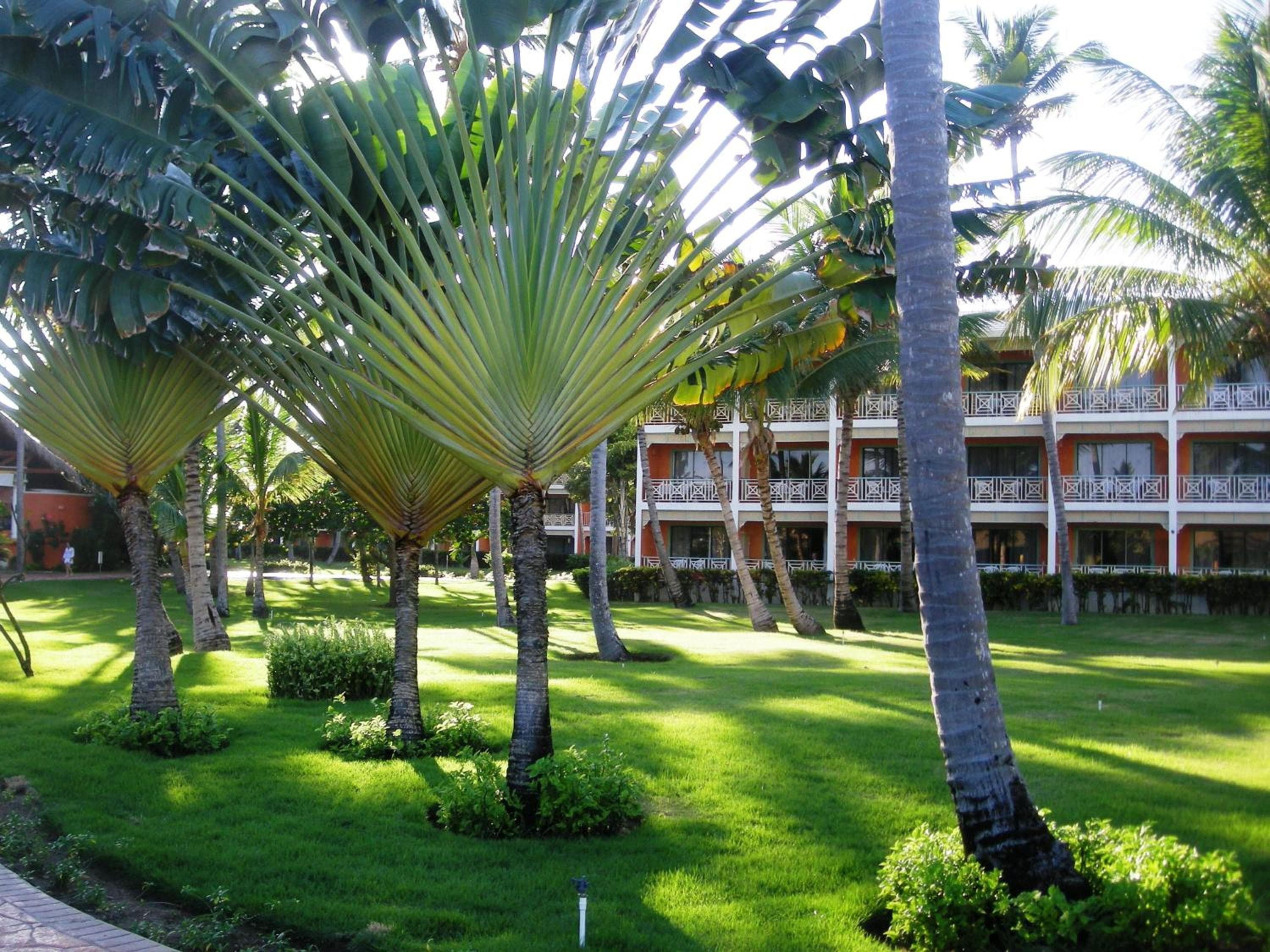 VIK hotel Arena Blanca — 13
