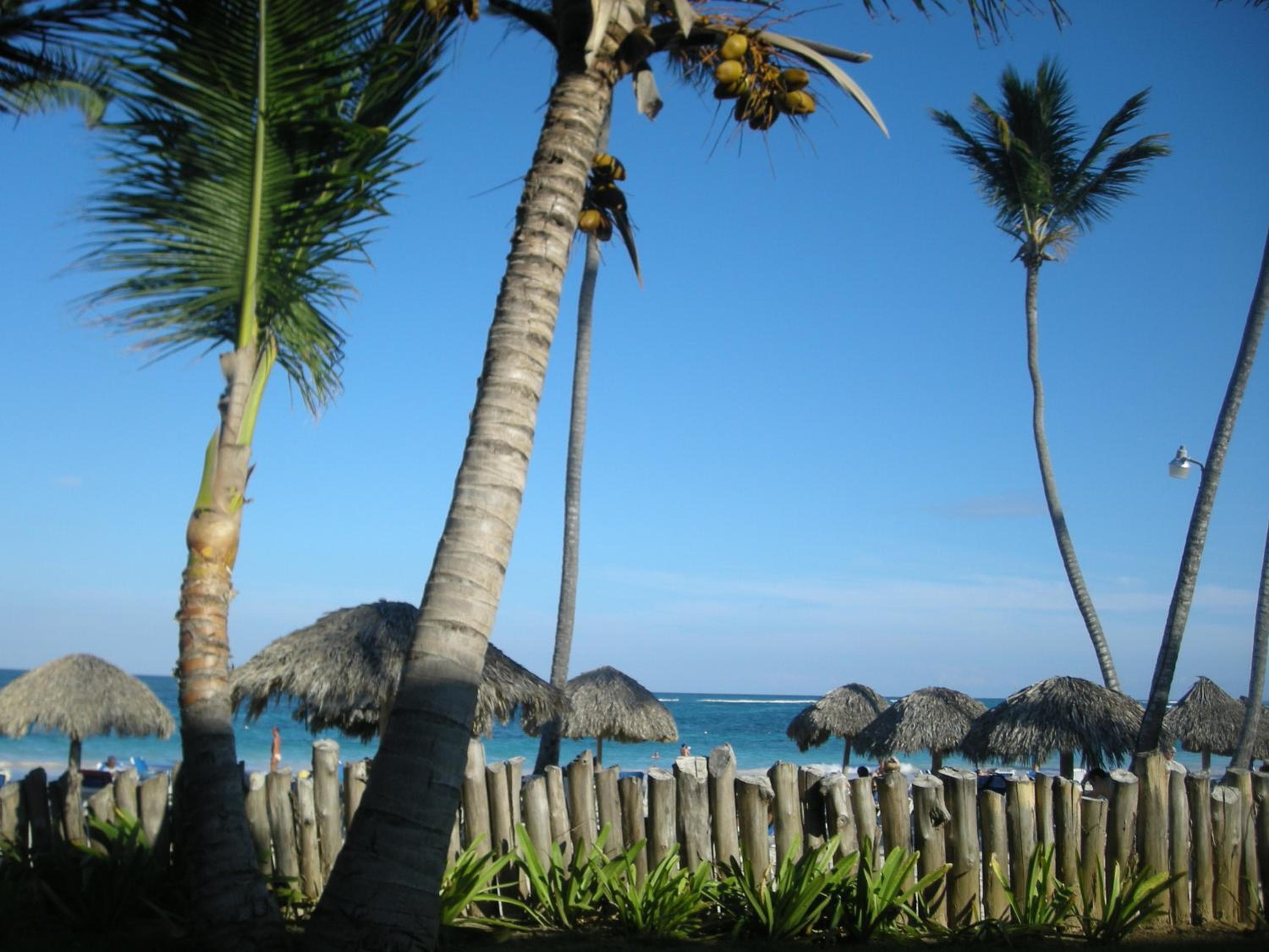 VIK Hotel Cayena Beach All Inclusive — 19
