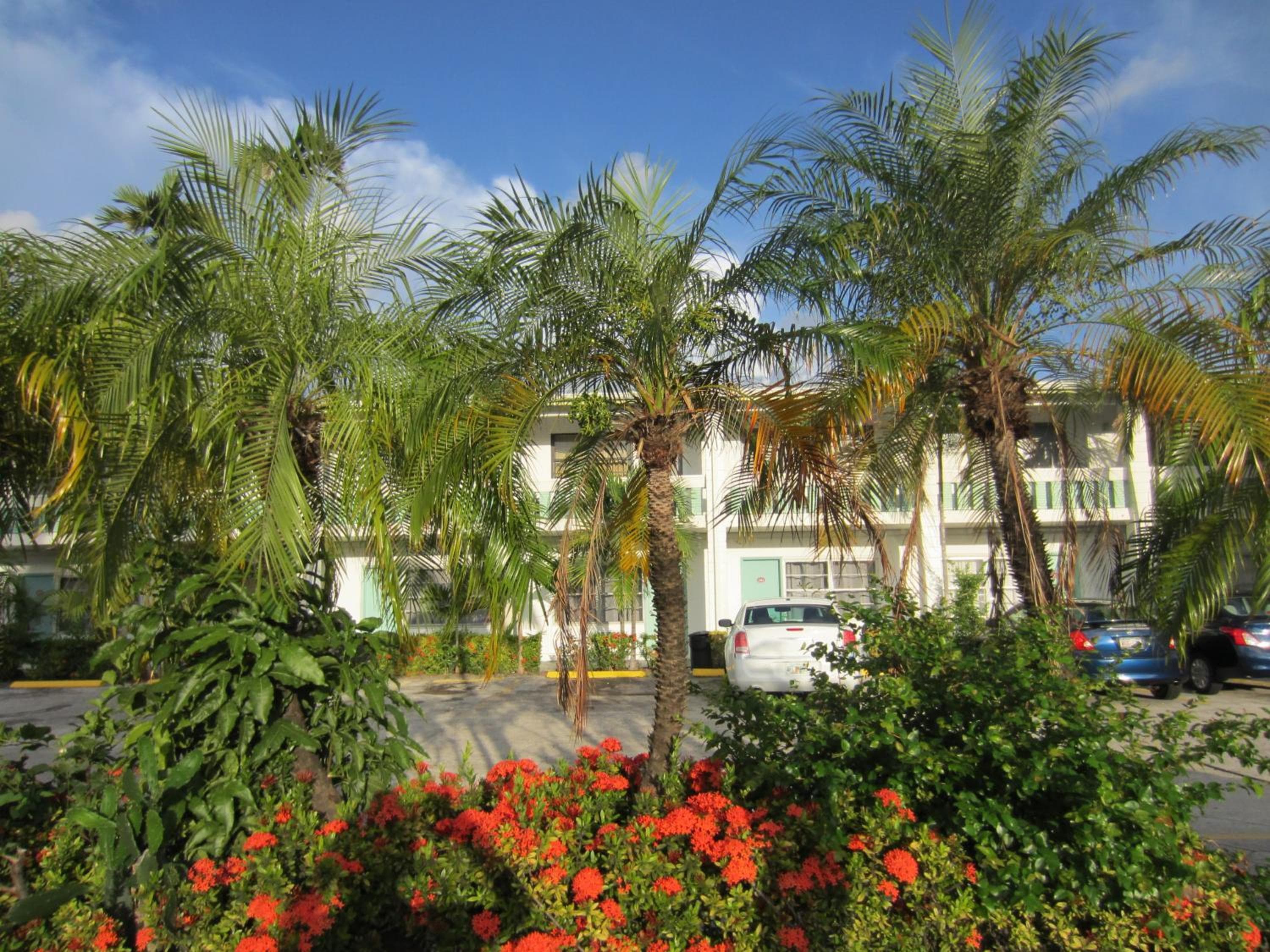 Shalimar Motel — 11