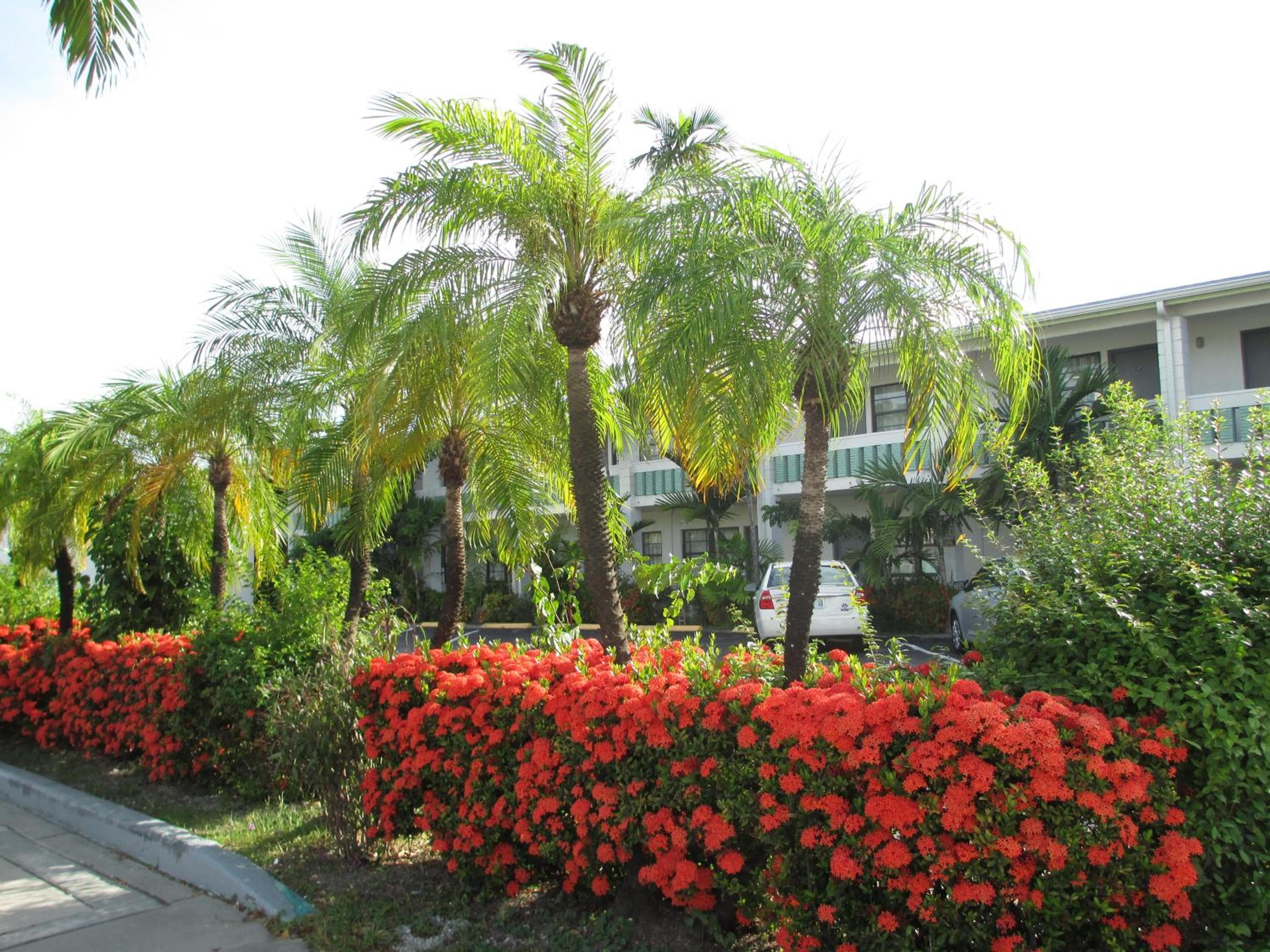 Shalimar Motel — 10