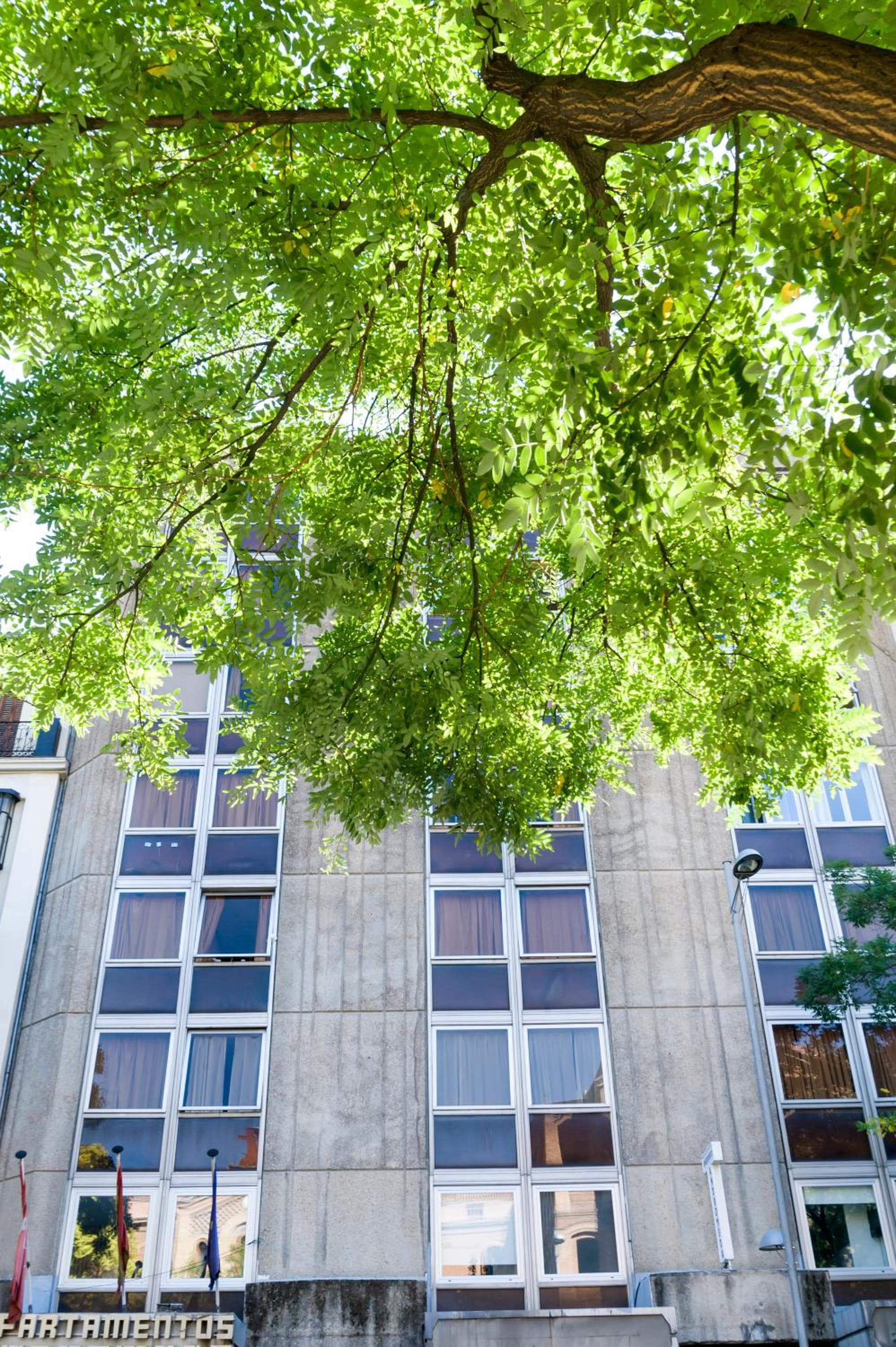 Boutique Urban Madrid Génova — 20