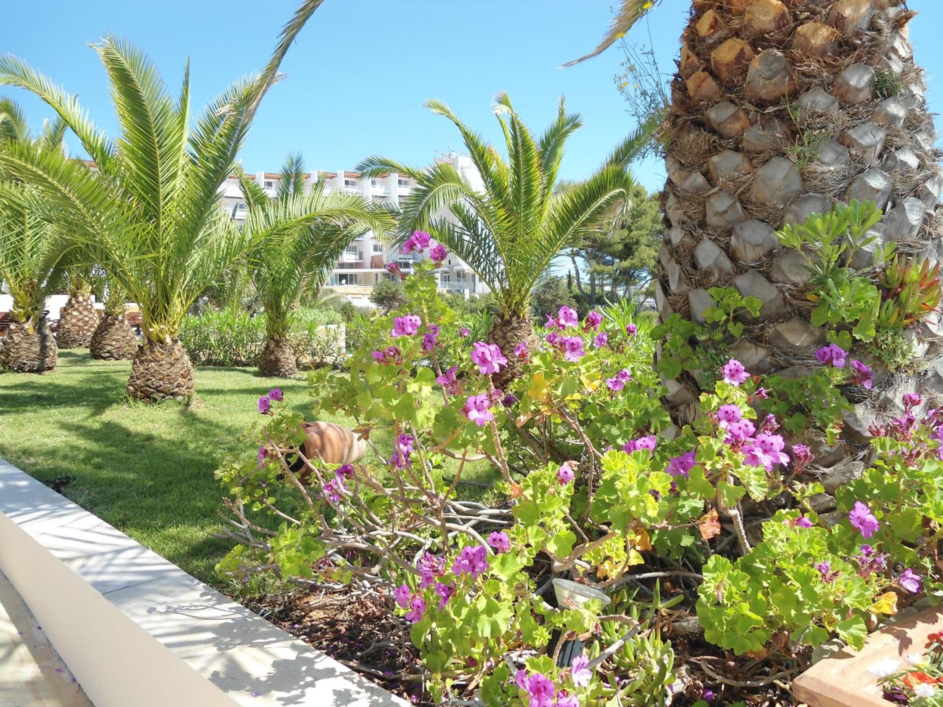 Grand Hotel Palladium Santa Eulalia del Rio — 30