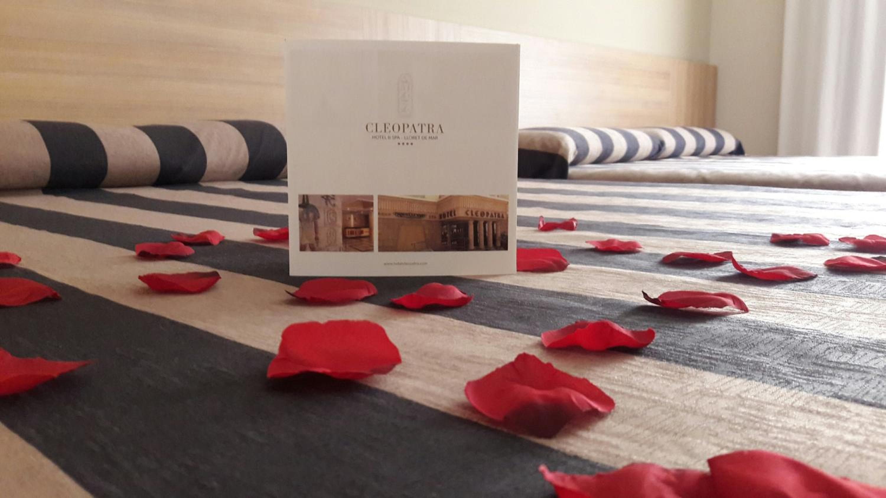 Cleopatra Spa Hotel — 20
