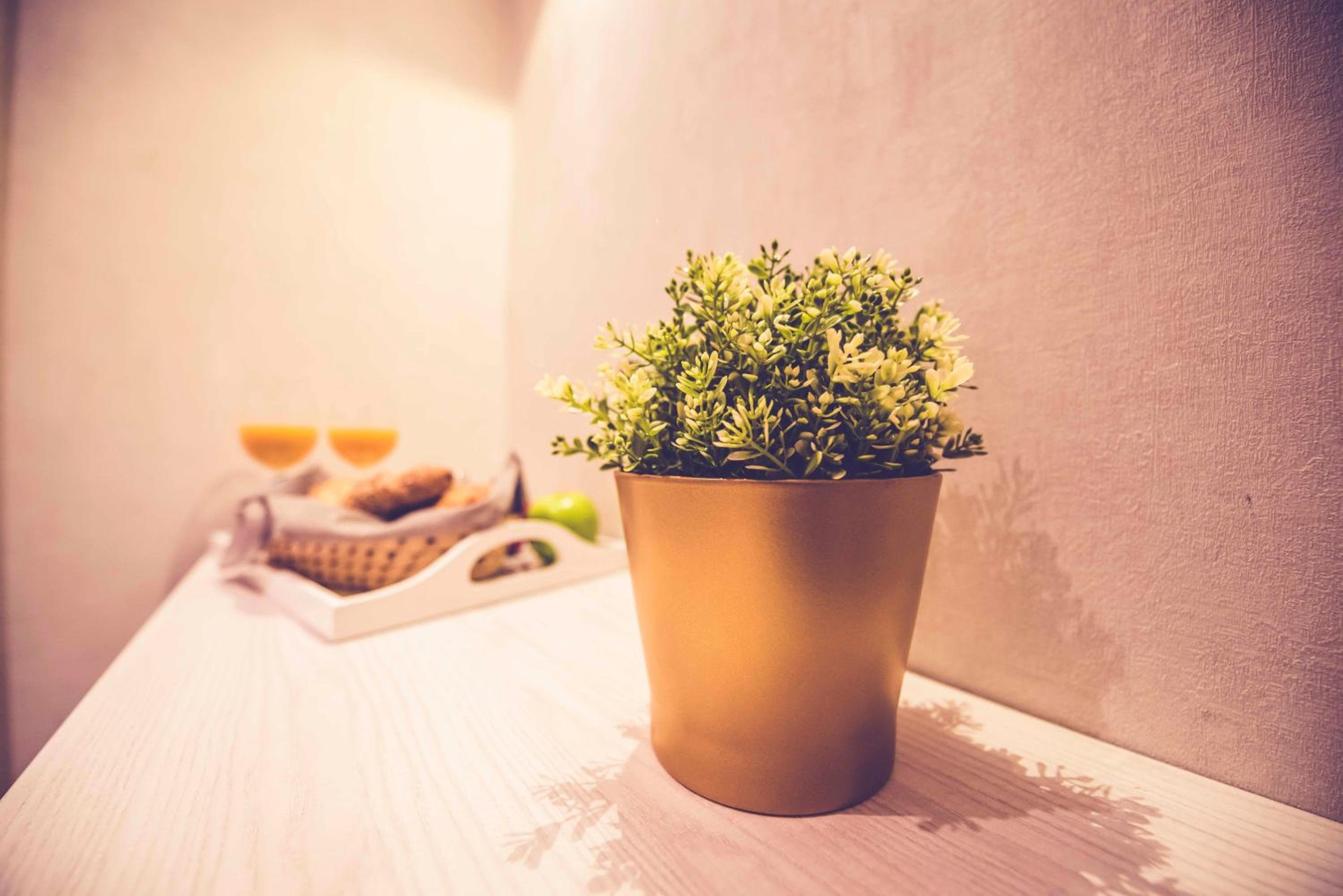 Hostal Lisboa — 20