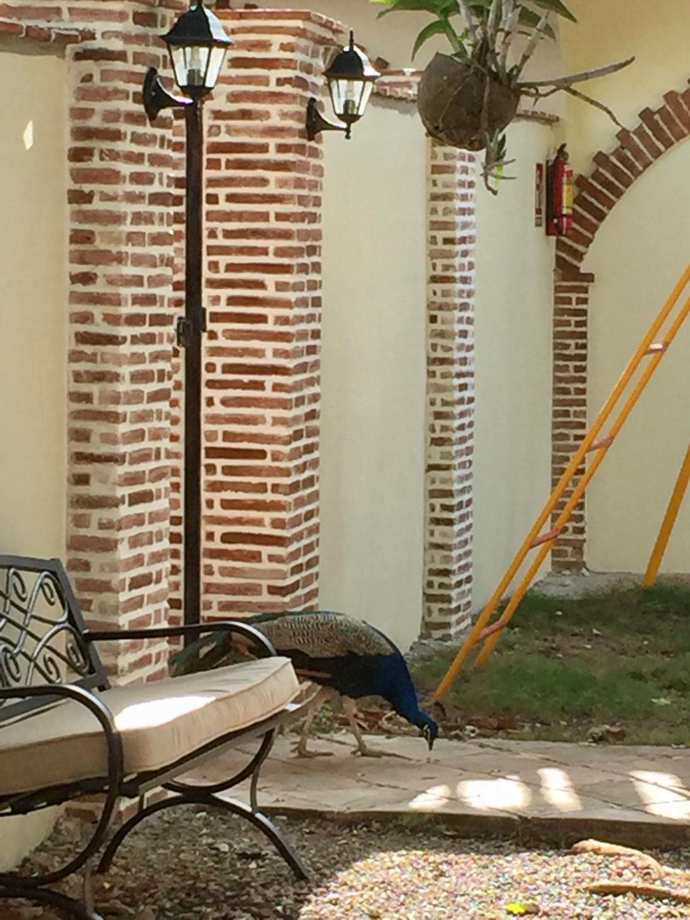 Hotel Yamilí — 25