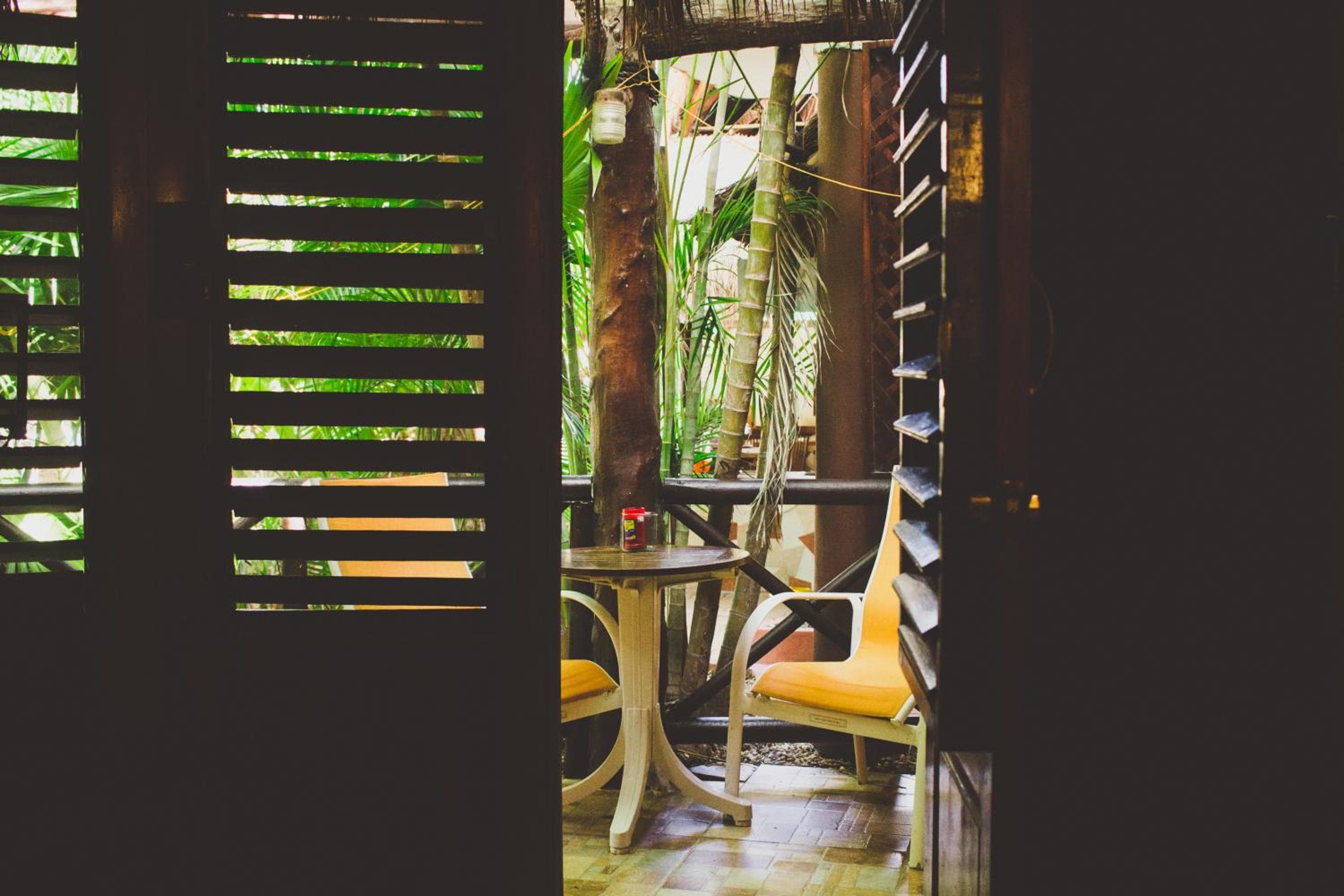 Cocos Cabañas Playa del Carmen Solo adulti — 22