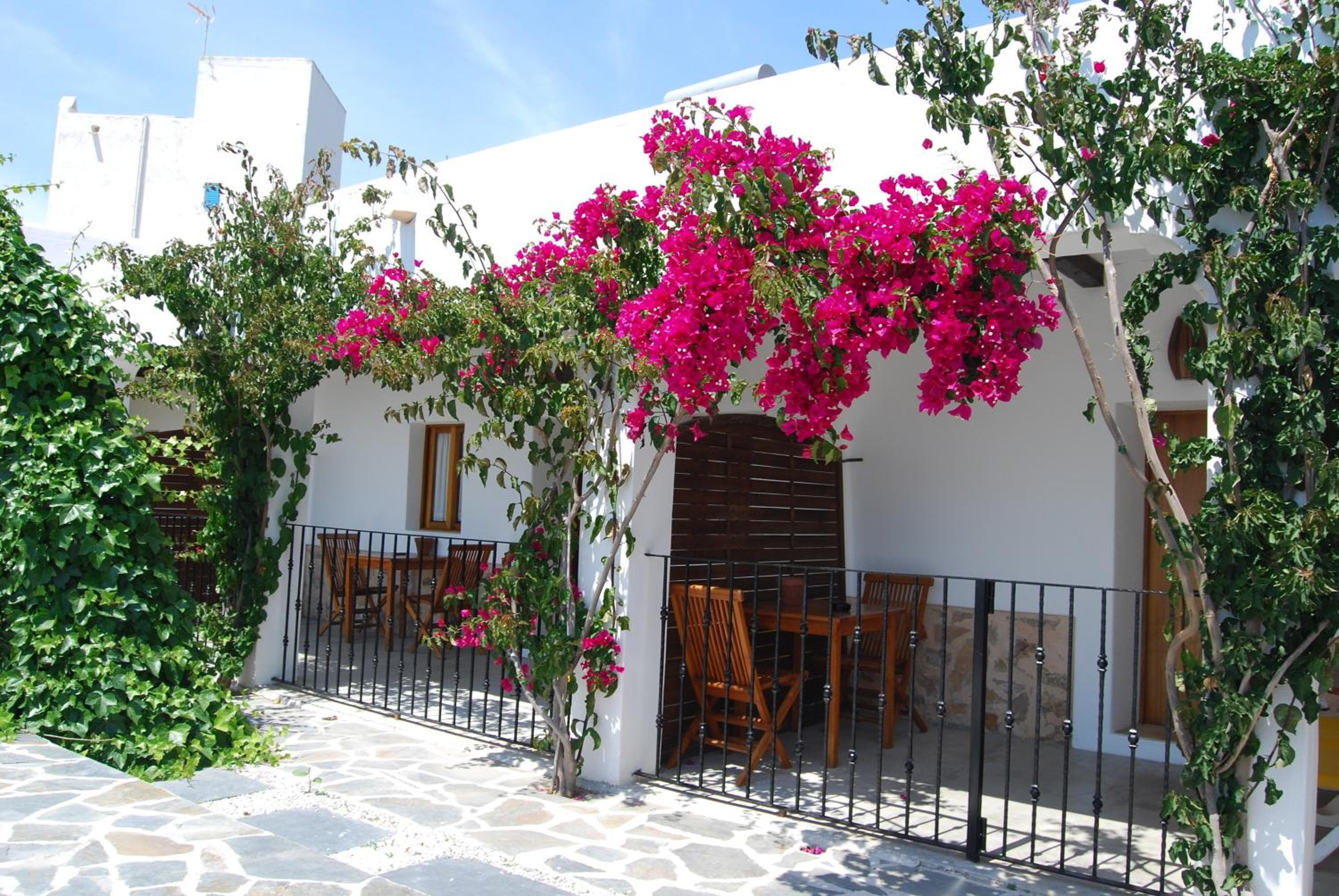 Buenavista & Suites — 20