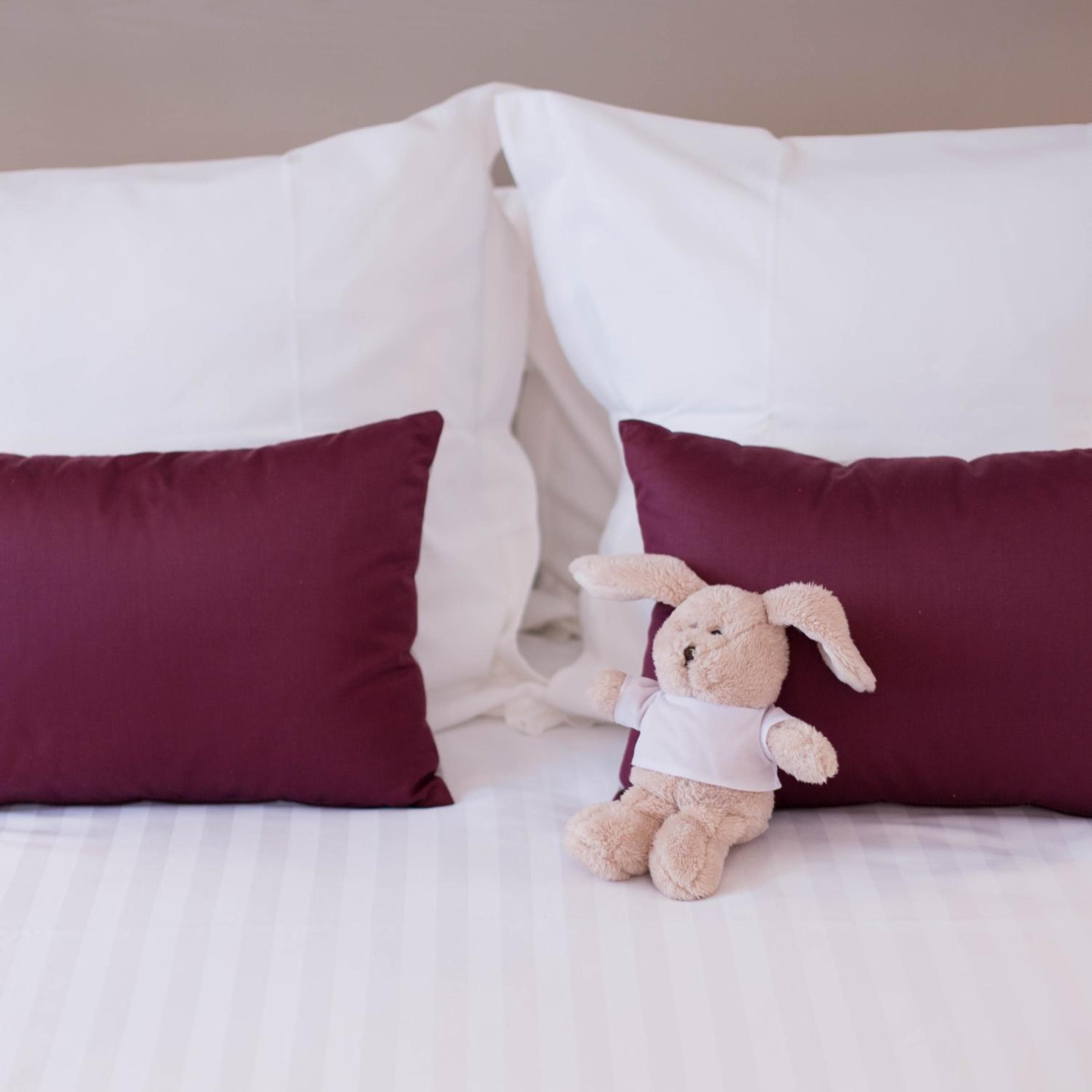 Hotel Castillo Frontenac — 29