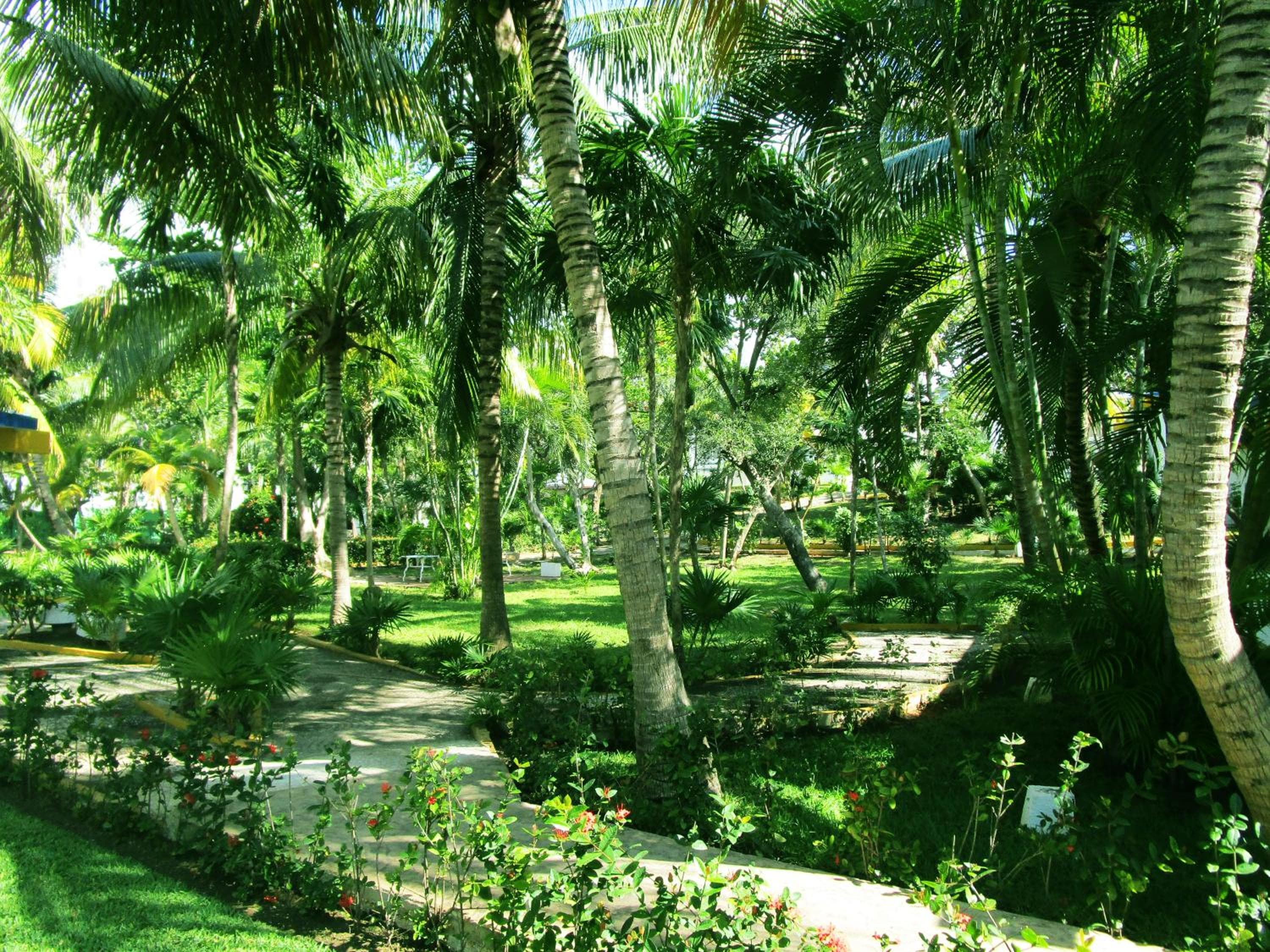 Hotel Maya Caribe Faranda Cancún — 24