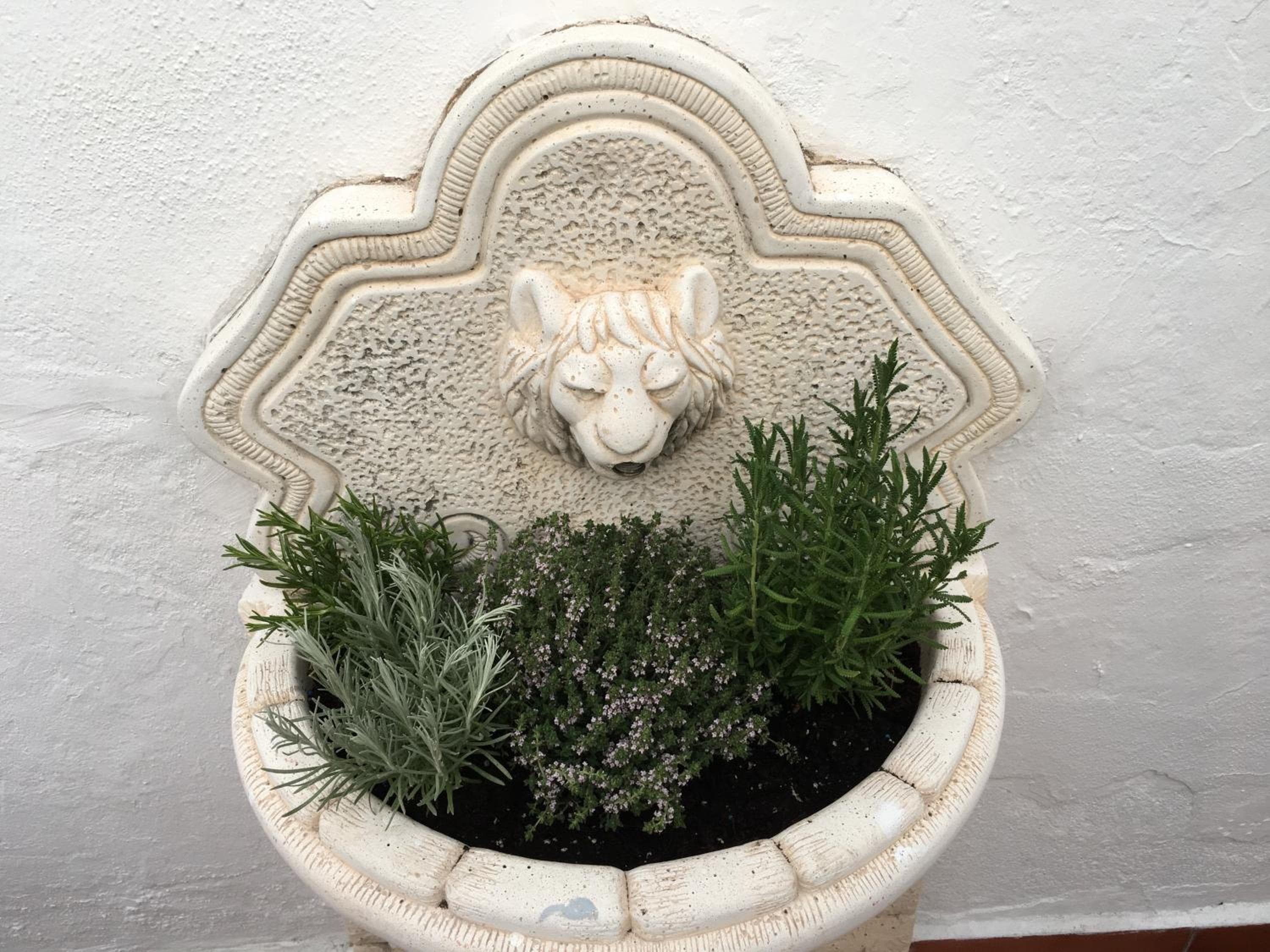 La Moraga de Poniente Malaga Hostel — 20