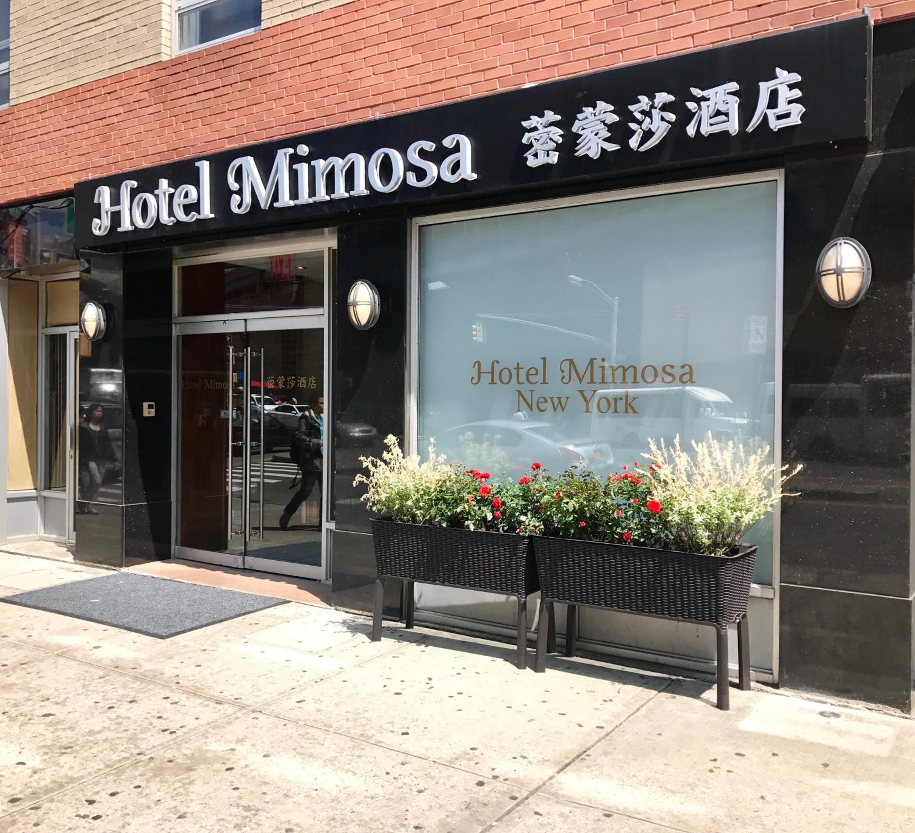 Hotel Mimosa — 17