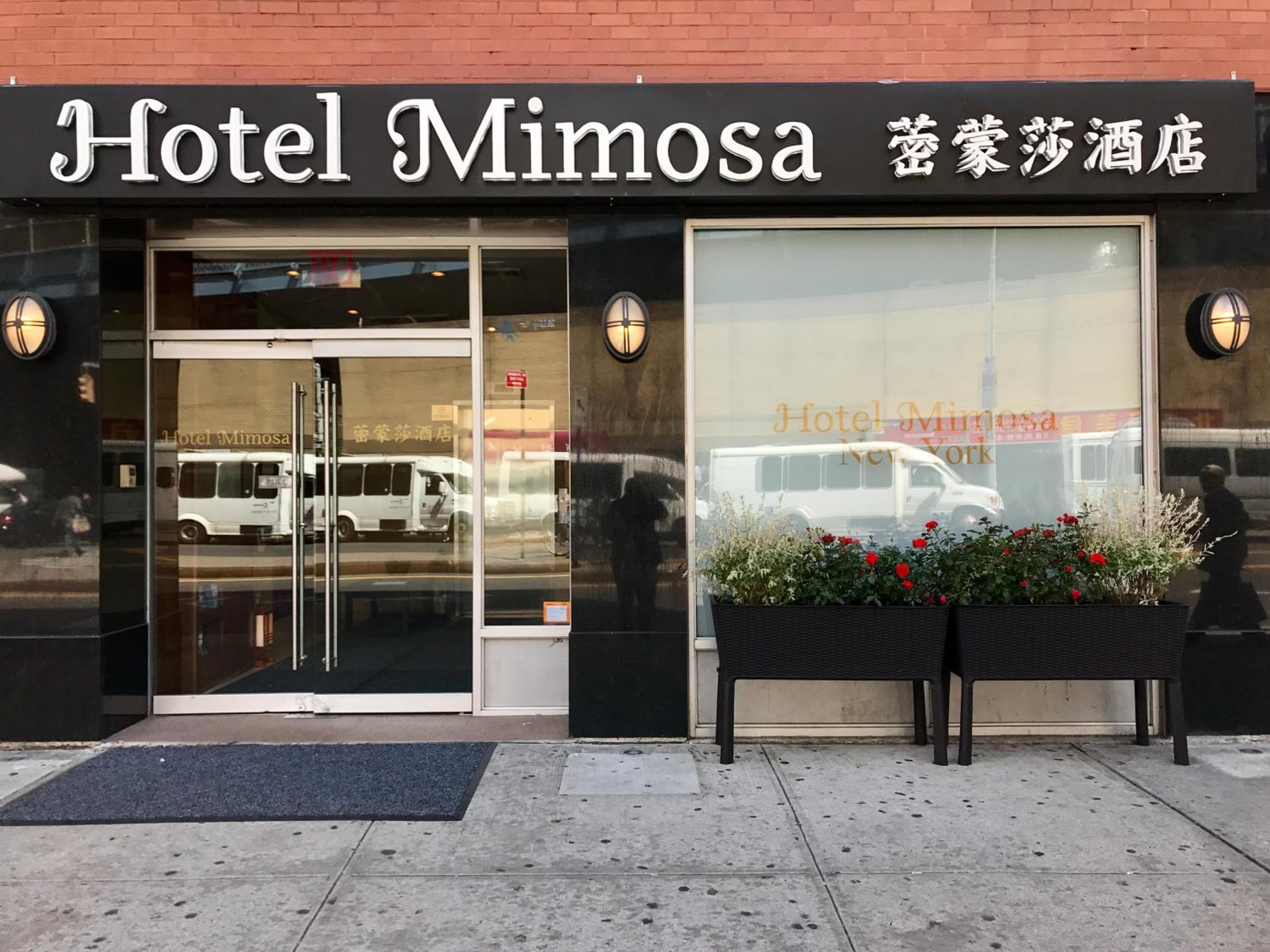 Hotel Mimosa — 18