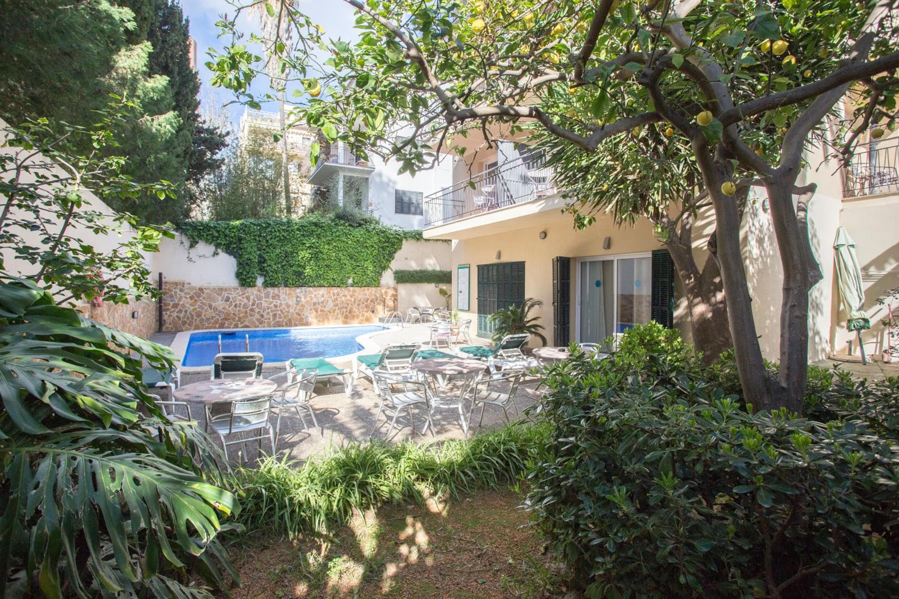 Pension Bonany — 4