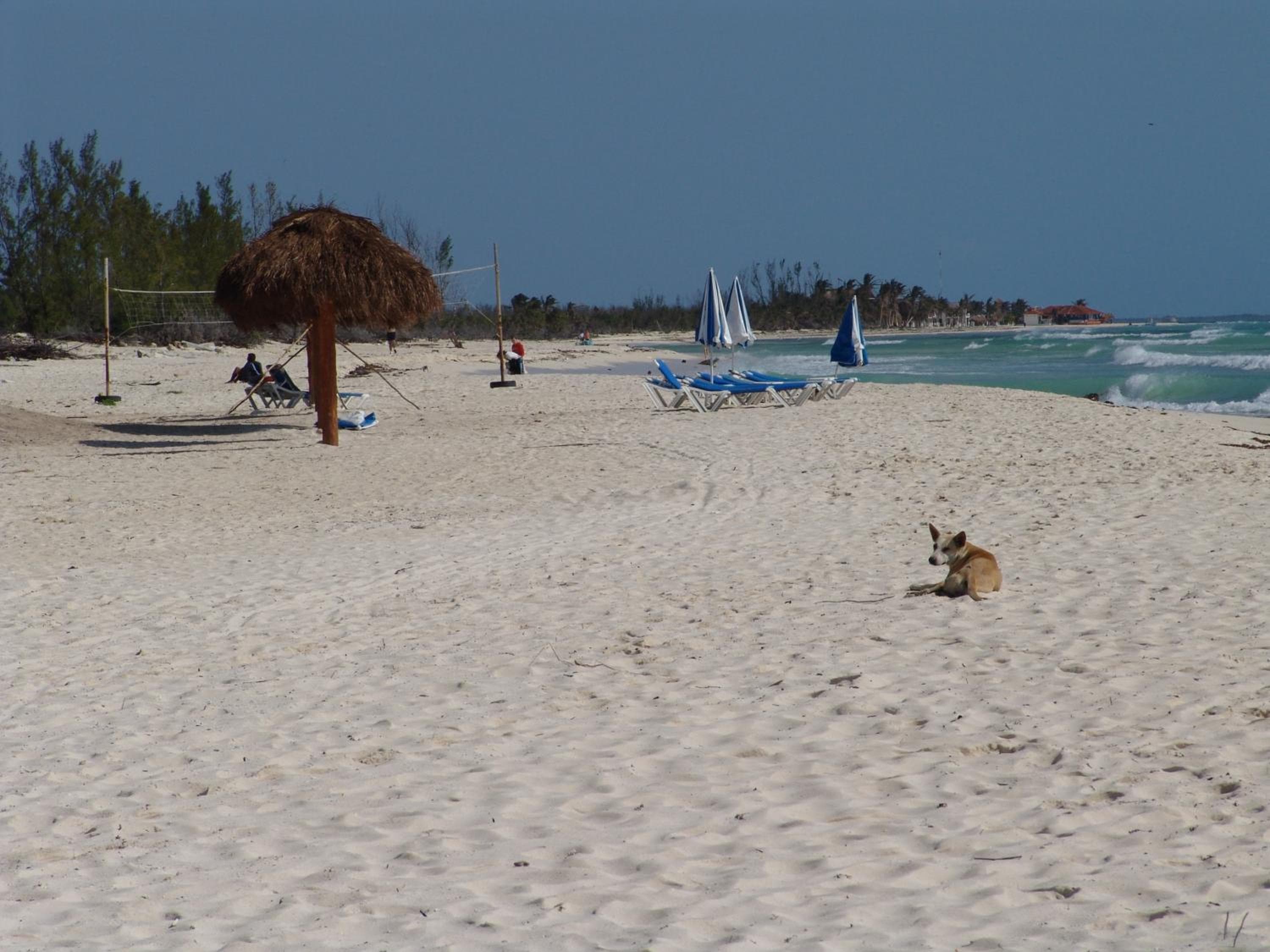 Cocos Cabañas Playa del Carmen Solo adulti — 13
