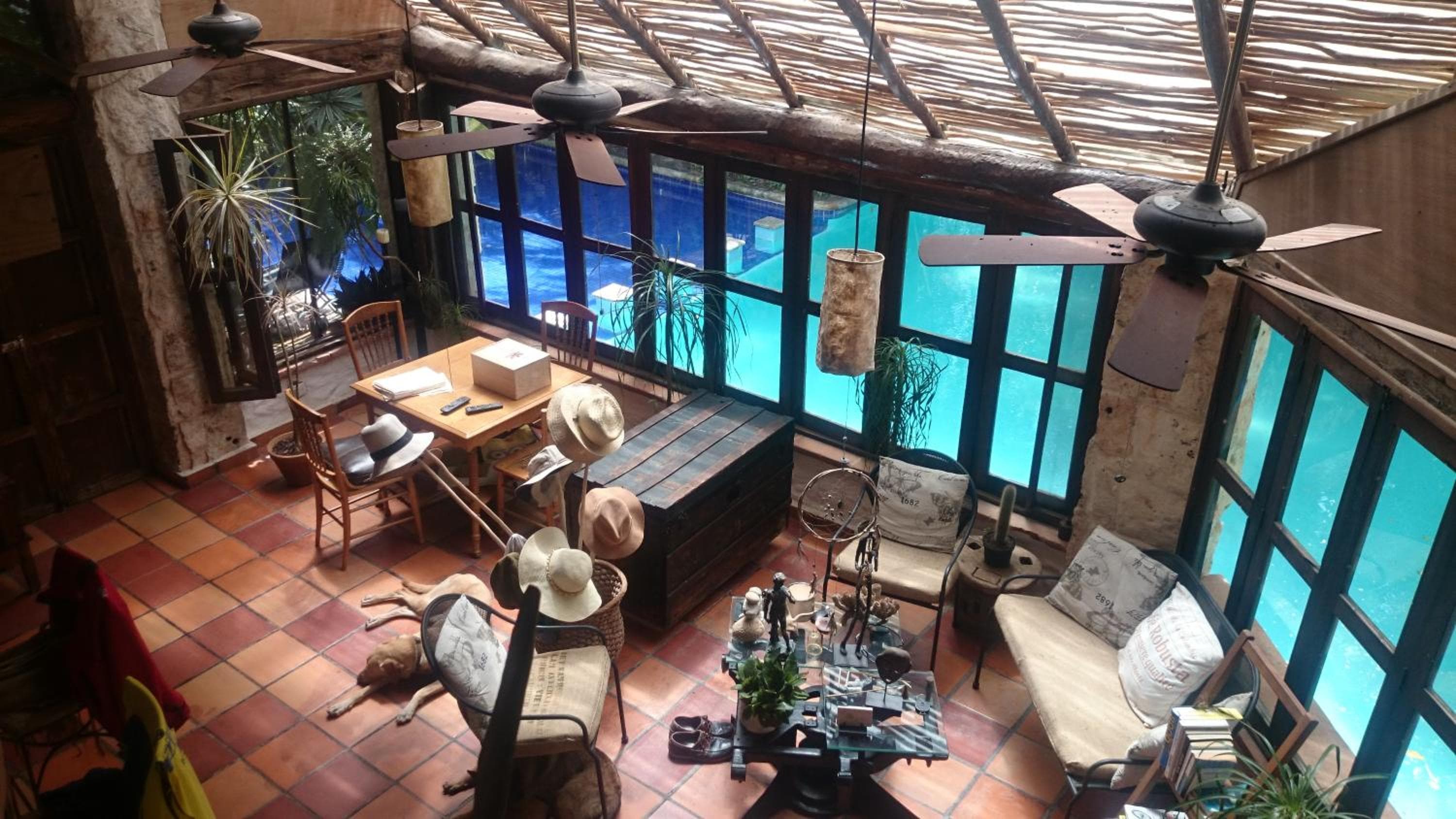 Jungle Lodge CANCUN AEROPUERTO — 26