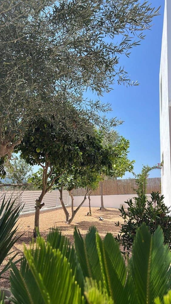 Ibiza Sunshine Hideaway — 12