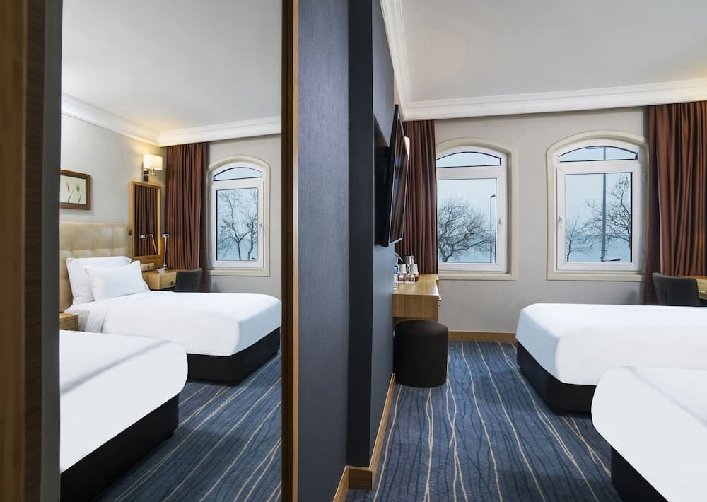 Radisson Hotel Istanbul Sultanahmet — 11