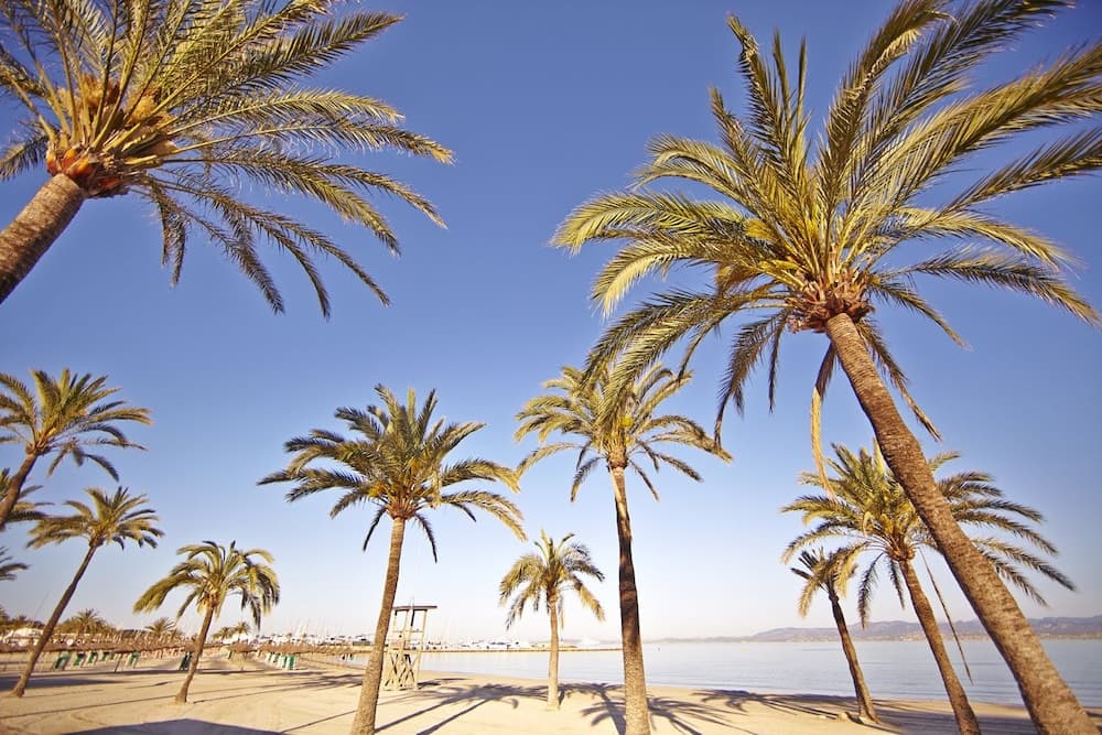 MLL Sahara Nubia Gobi Bay Hotel — 10