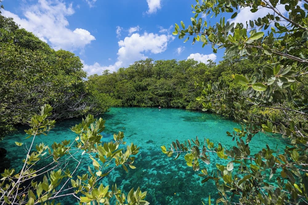 Casa Cenote Hotel — 4