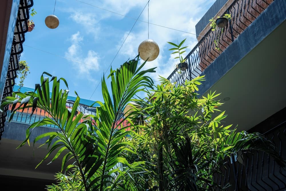 Calea Tulum — 30