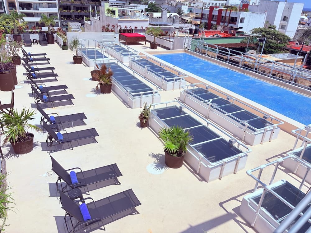 Hotel Kavia 5th Avenida — 21