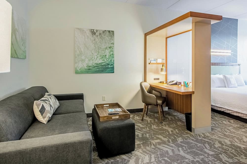 SpringHill Suites by Marriott Tampa North/I 75 Palms di Tampa — 14