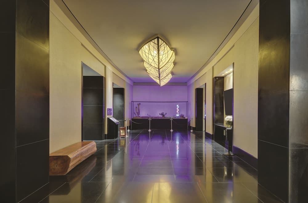 W Las Vegas — 22