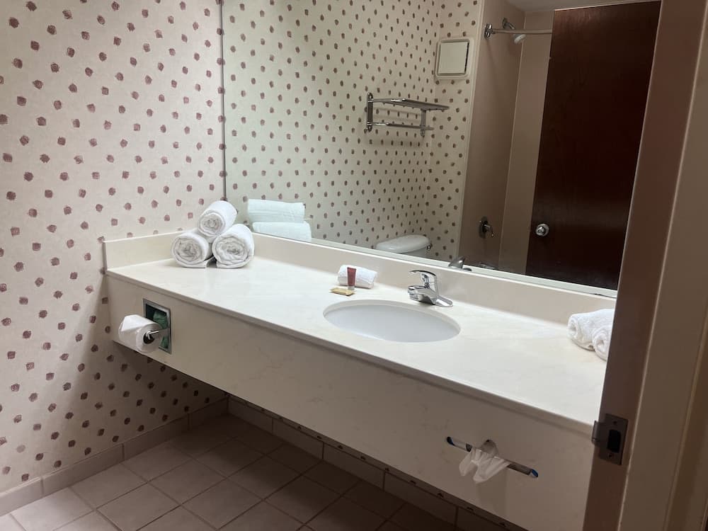 Orlando Palms Hotel — 20