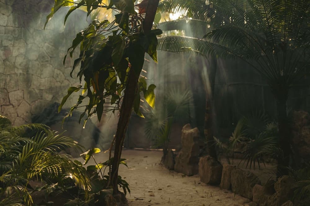 Ether Tulum — 3