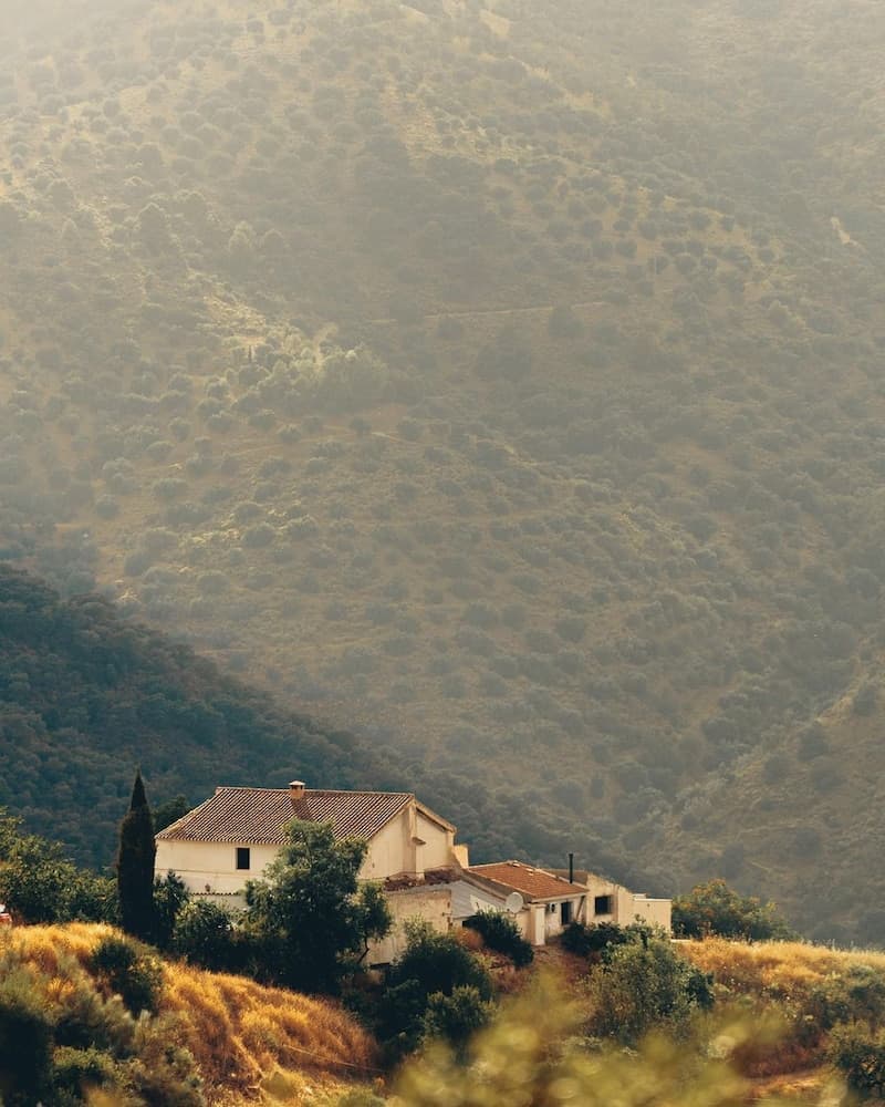 Finca Serrato — 9