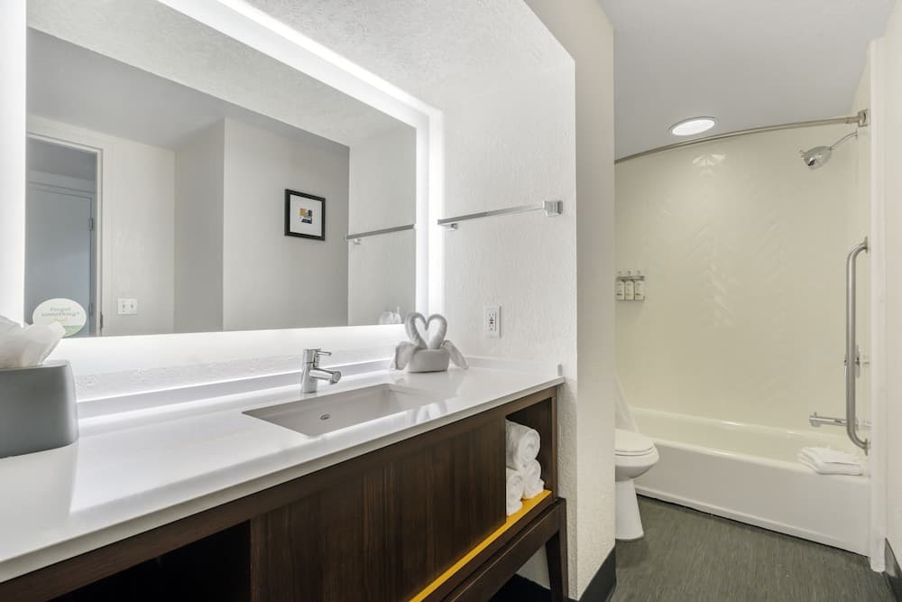 Holiday Inn Orlando International Dr-ICON by IHG — 28