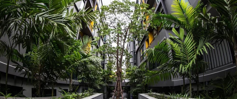 iSanook Bangkok — 15