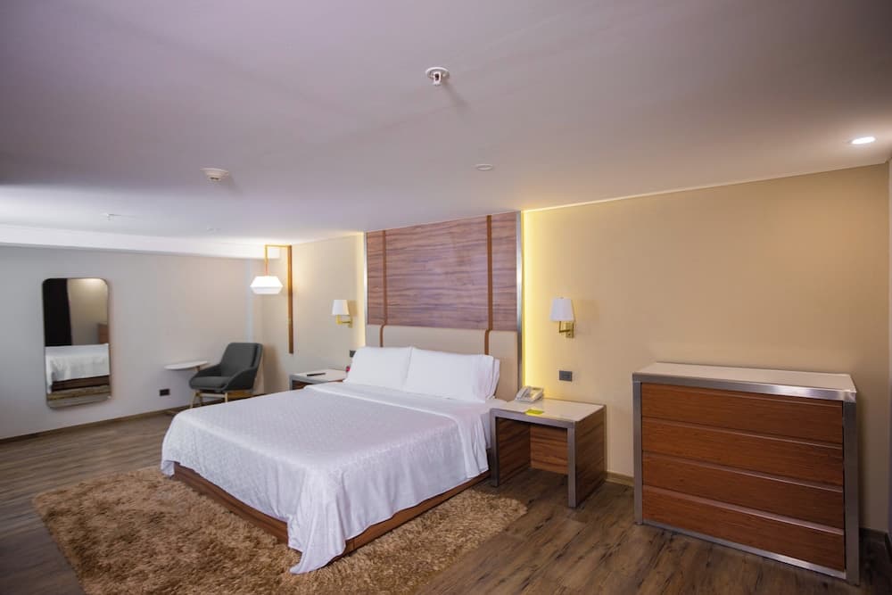 Holiday Inn Mexico Buenavista by IHG — 29