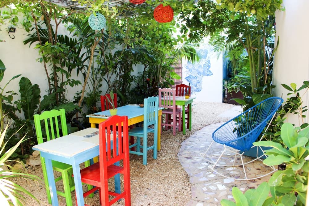 Vainilla B&B Messico — 4