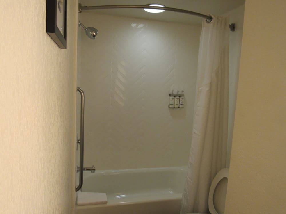 Holiday Inn Orlando International Dr-ICON by IHG — 25