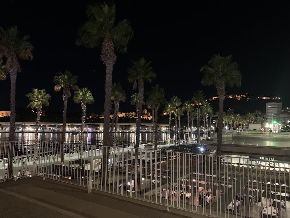 Hotel Alameda Malaga — 20