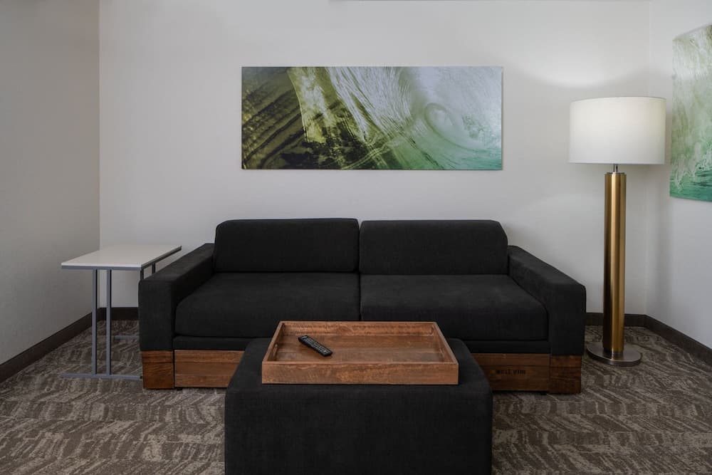SpringHill Suites by Marriott Convention Center/I-drive — 9