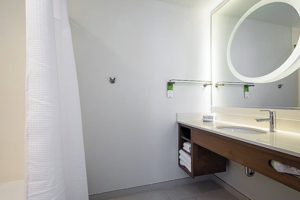 SpringHill Suites by Marriott Tampa North/I 75 Palms di Tampa — 16