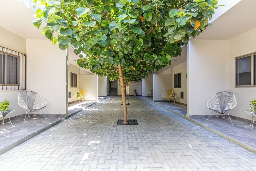 Maia Cabo von Naya Homes — 1