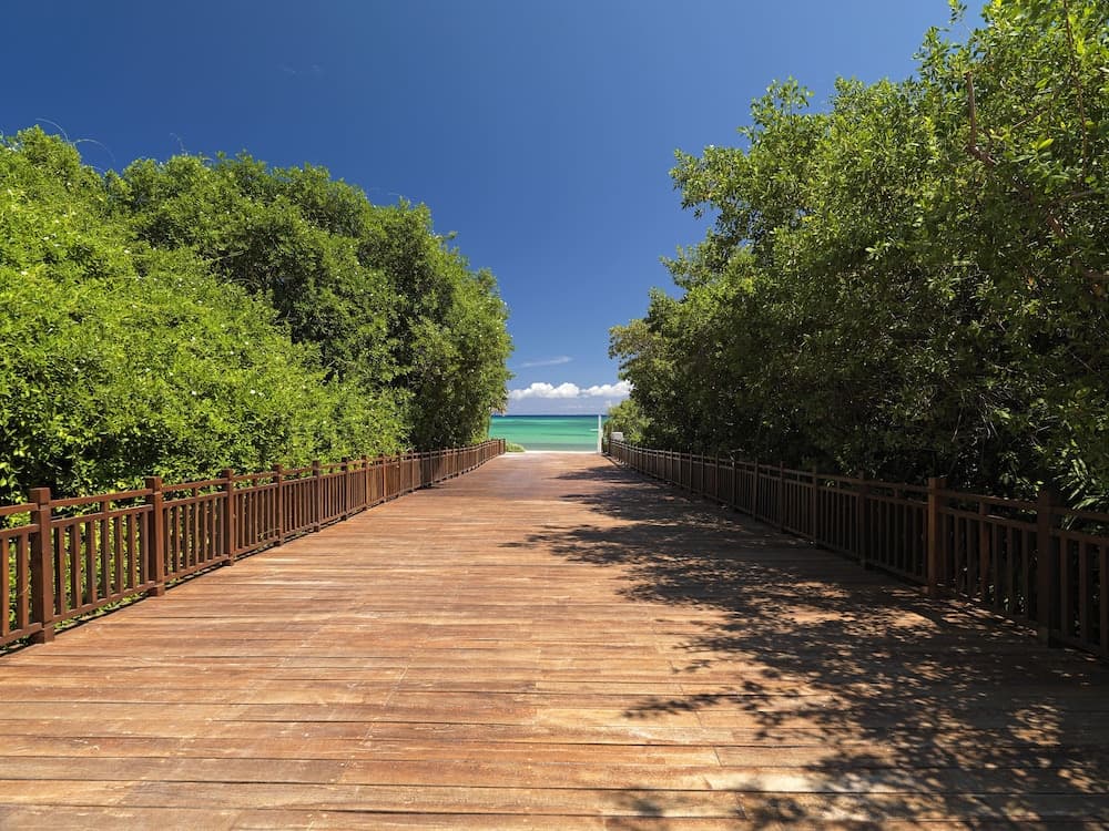 Paradisus Playa del Carmen – Riviera Maya - All Inclusive — 28