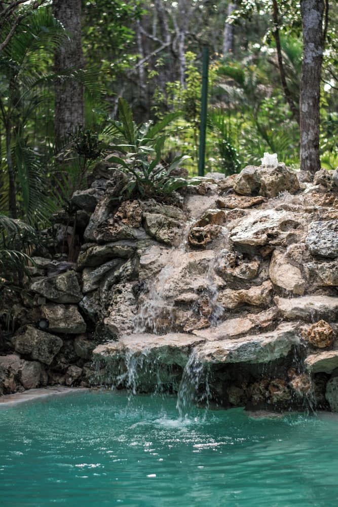 Pepem Holistic Experience - Peaceful Retreat Near Tulum — 17