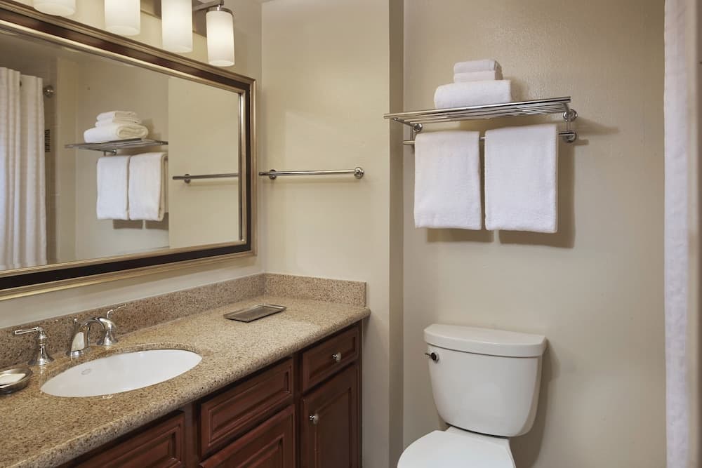 Hilton Grand Vacations Club SeaWorld® Orlando — 30