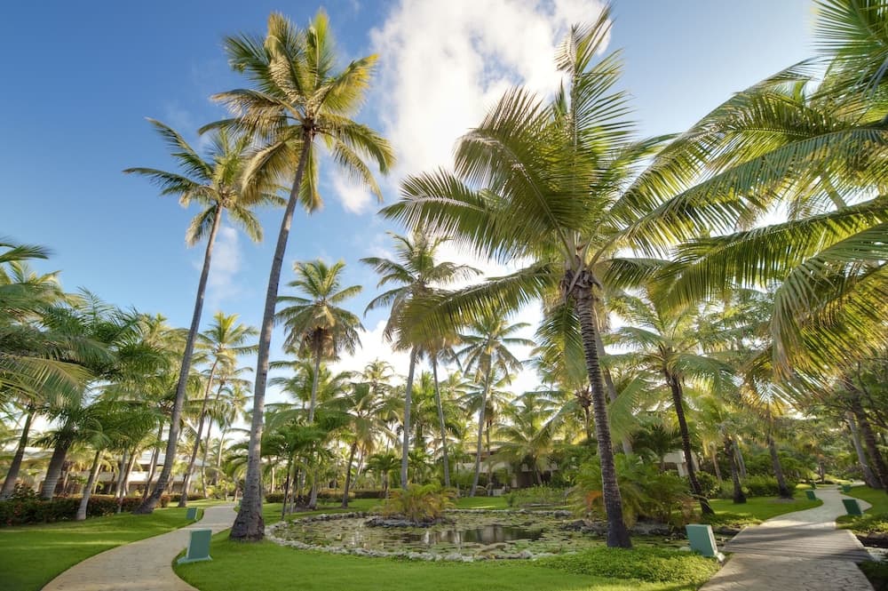 Melia Punta Cana Beach Wellness Inclusive - Adults only — 13