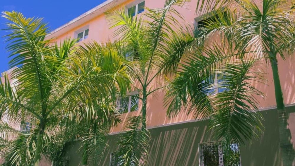 Hotel Marimba Punta Cana — 23