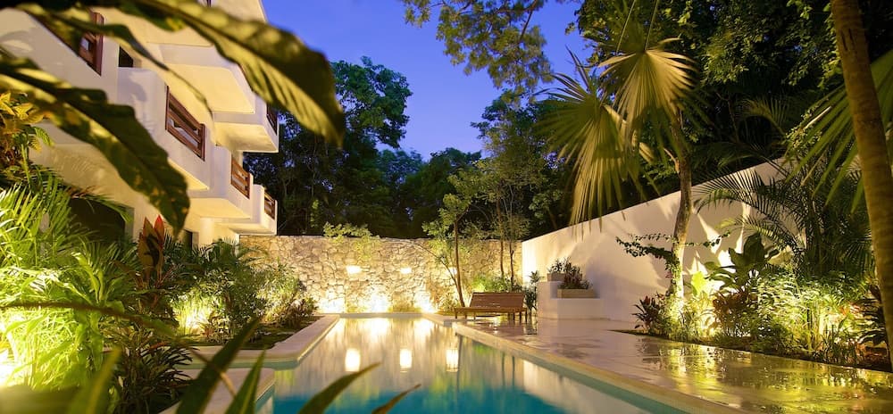 Livetulum — 8
