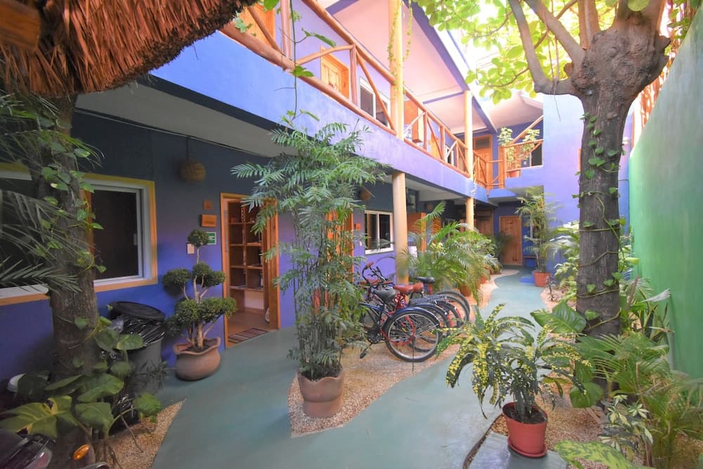 Casa Almendro — 5