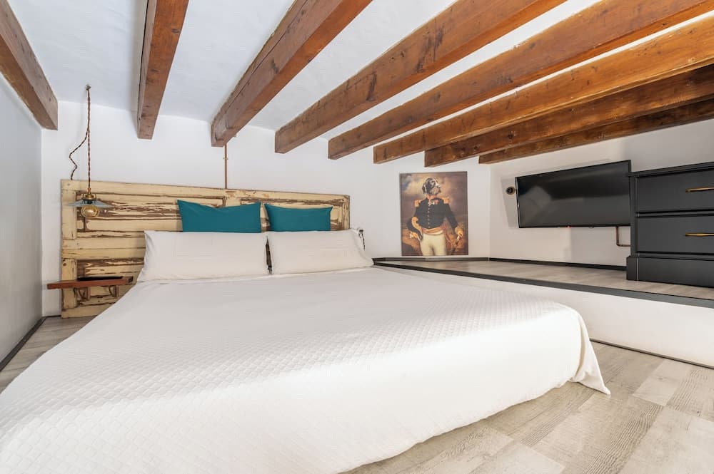 Dog Ammiraglio Urban Guest House — 4