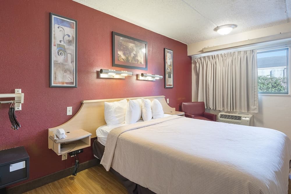 Rodeway Inn Tampa vicino a Busch Gardens - USF — 17