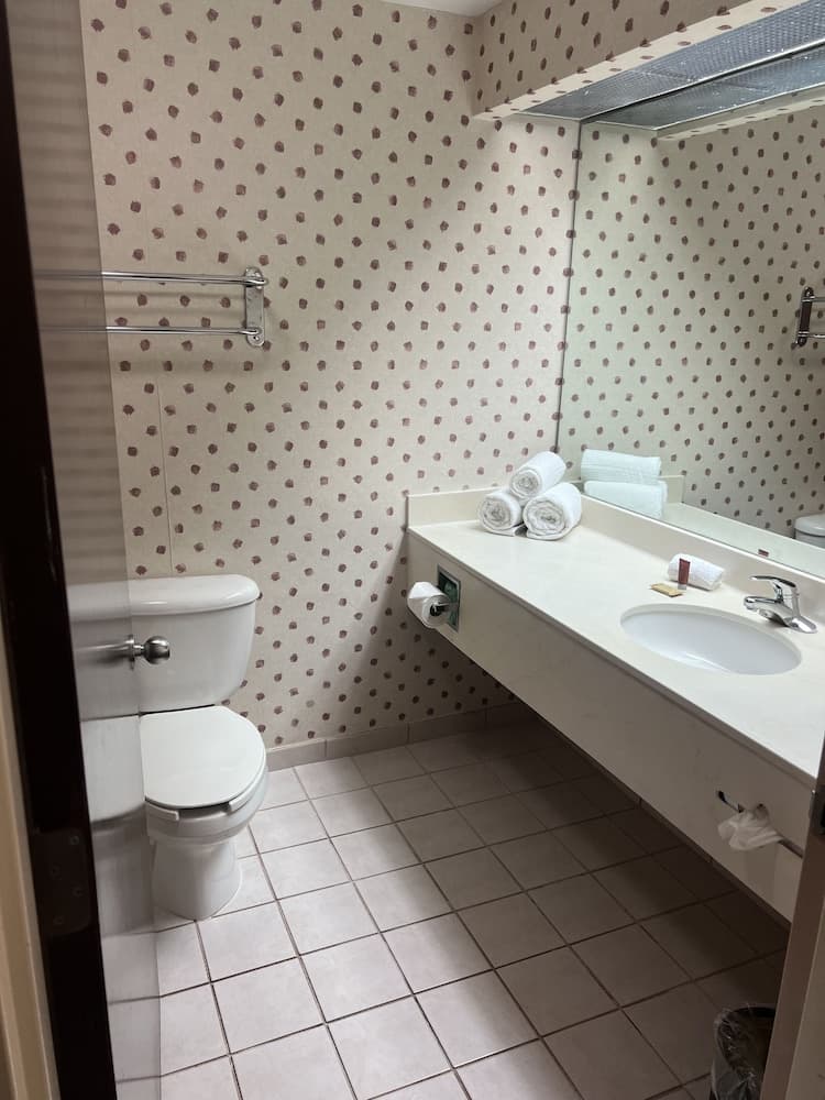 Orlando Palms Hotel — 12