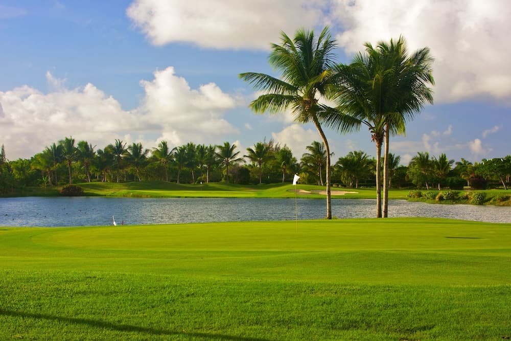 Melia Punta Cana Beach Wellness Inclusive - Adults only — 15